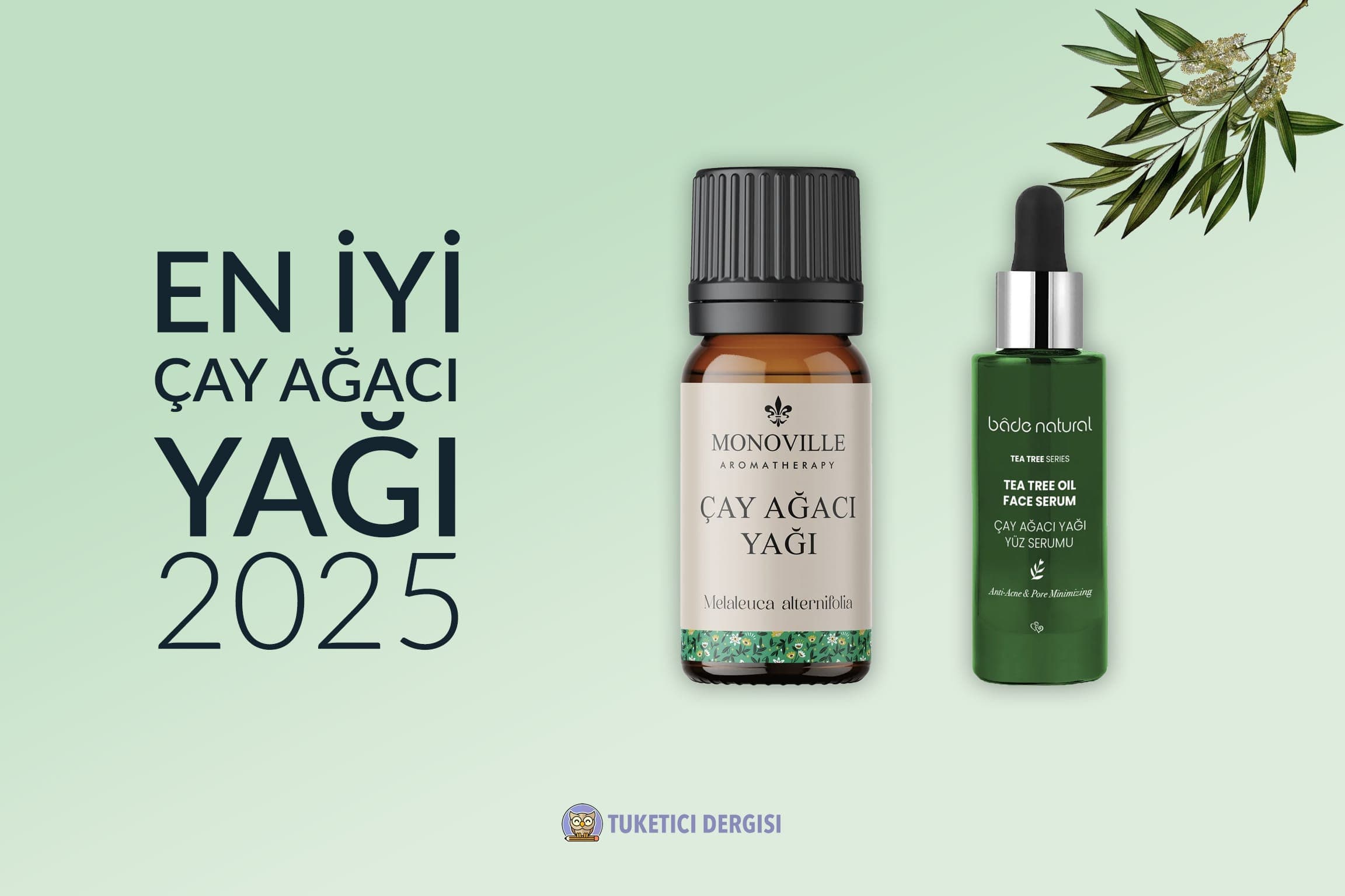En İyi Çay Ağacı Yağı Tavsiyeleri