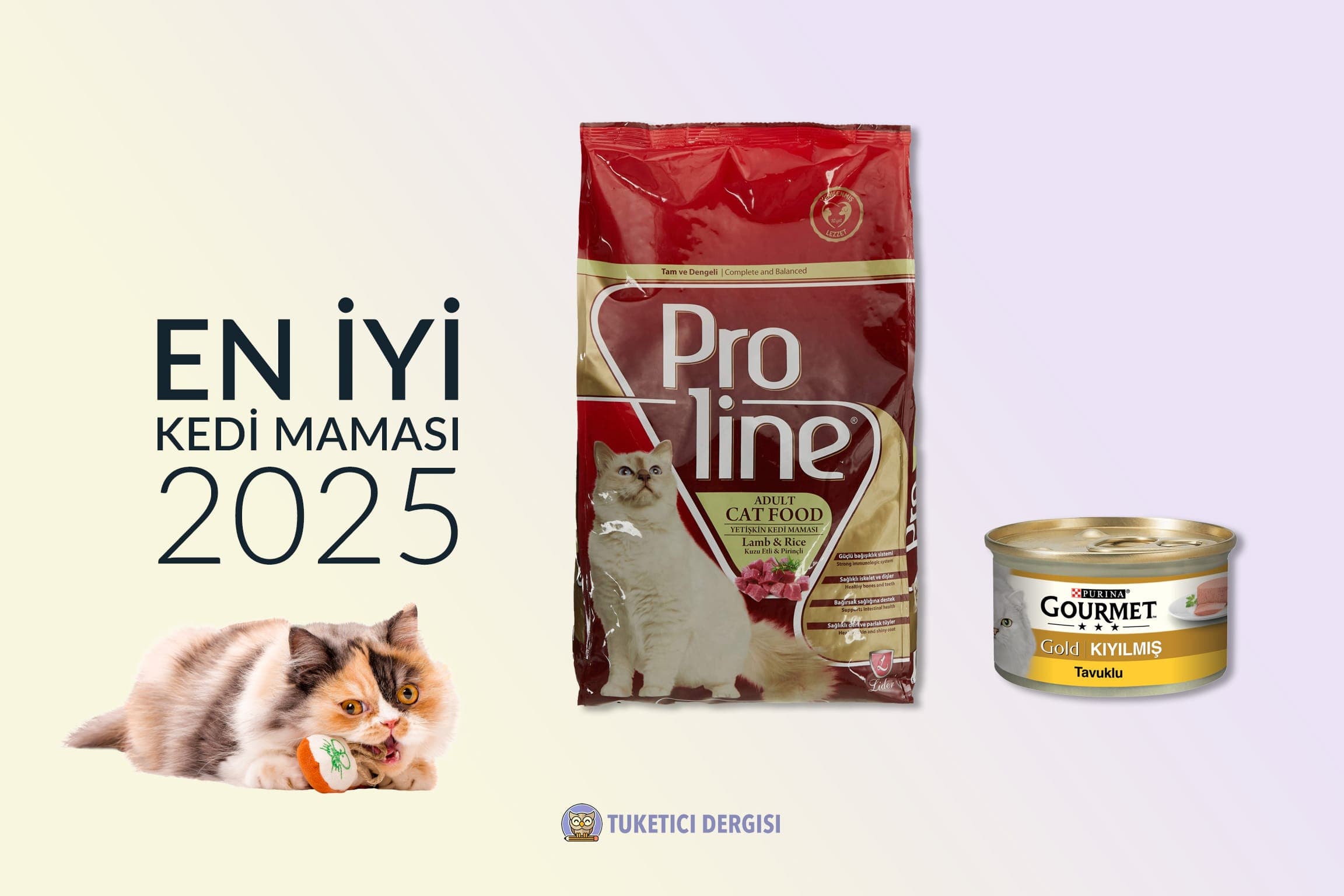 En İyi Kedi Maması Tavsiyeleri