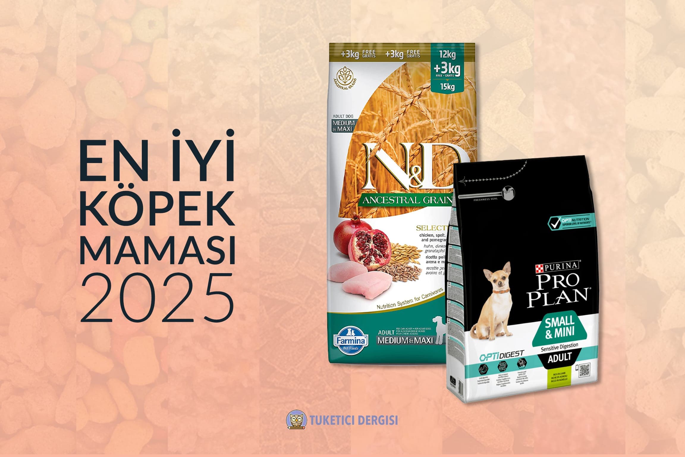 En İyi Köpek Maması Tavsiyeleri