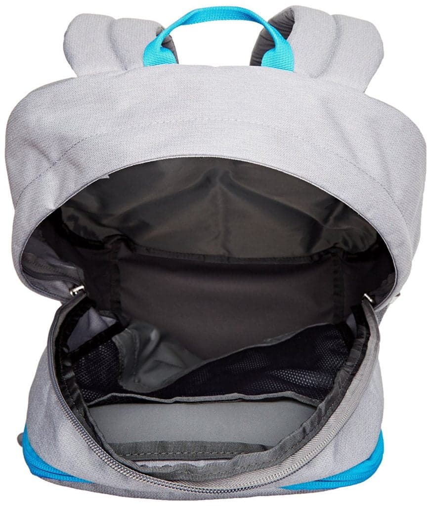 The North Face Jester