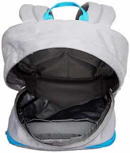 The North Face Jester