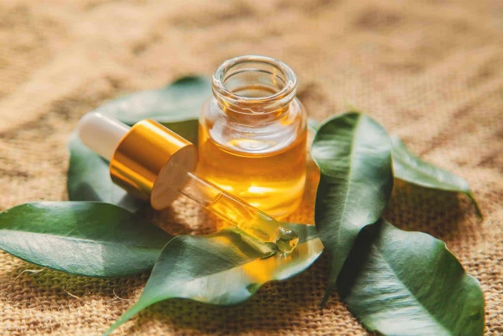 En Iyi Cay Agaci Yagi 1