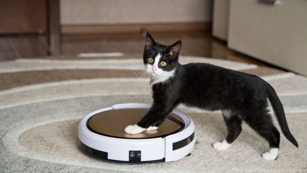 Robot Supurge Almali Miyim 1