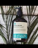 INSIGHT Rebalancing Sebum Yağlı Saçlar