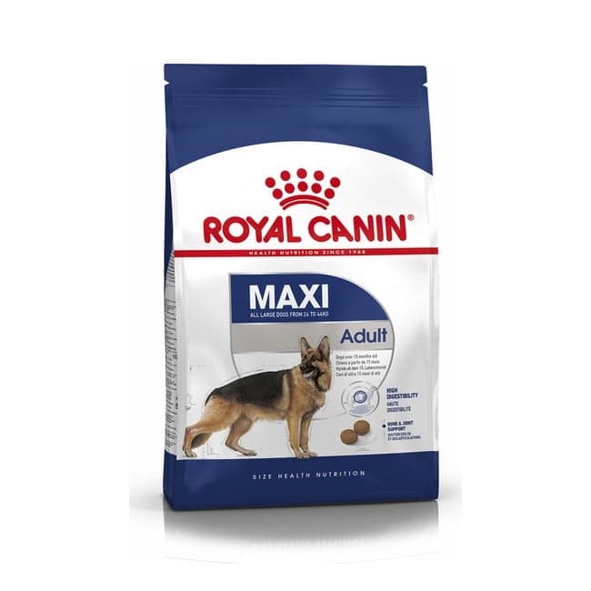 Royal Canin Shn Maxi Adult Büyük Irk Yetişkin Köpek Maması 15 kg
