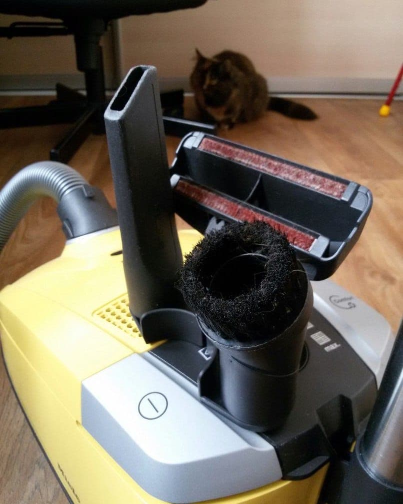 Supurge Neden Kokar 5